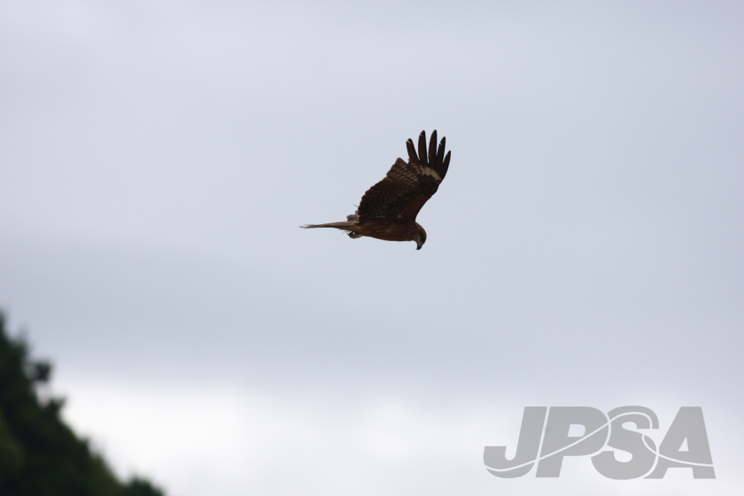 20140628060250_1Q5U9954m.jpg