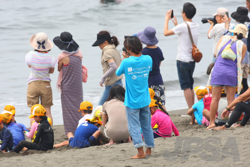 20140706105436_1Q5U7718m.jpg