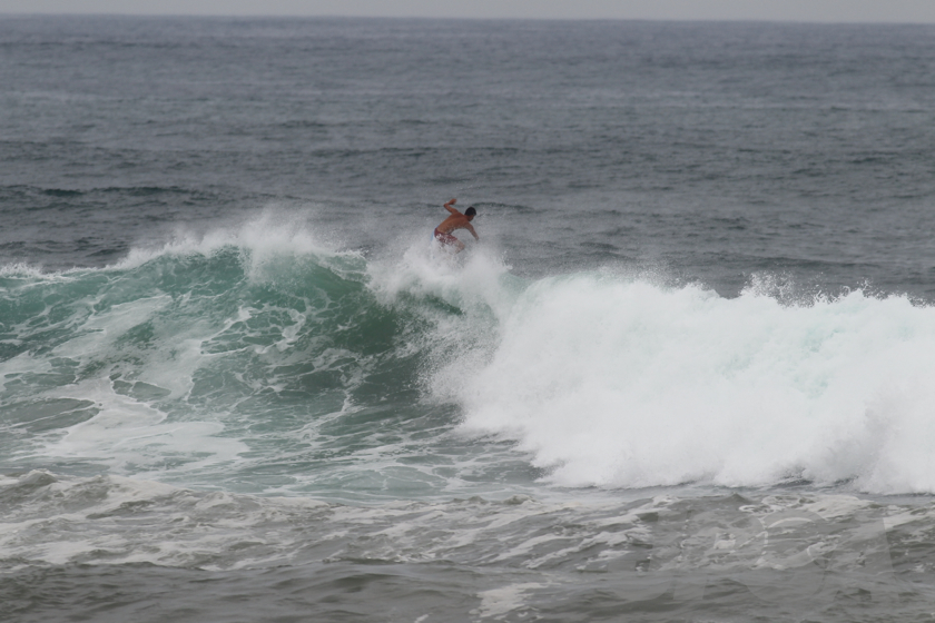 20140808132540_AB7I1143m.jpg