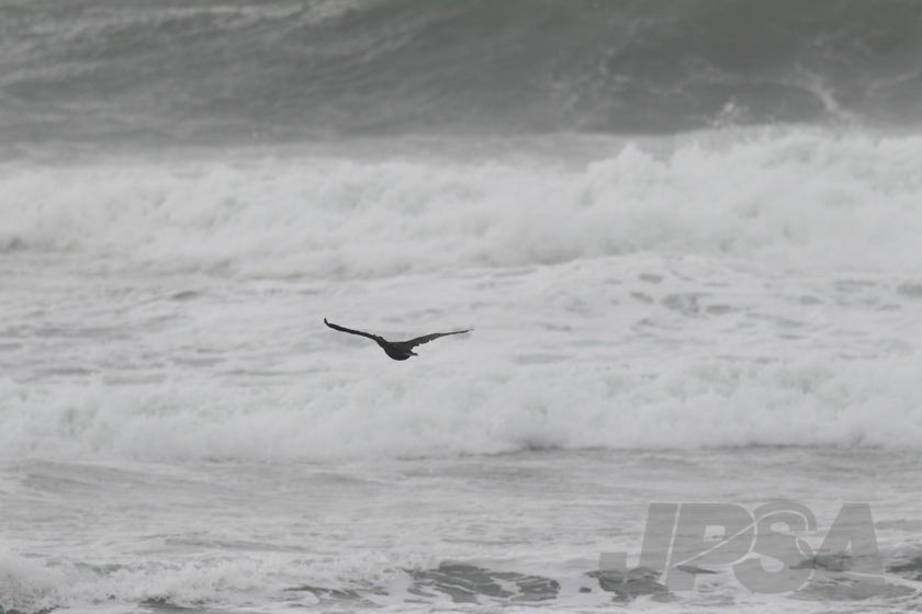 20140809090147_AB7I2661m.jpg