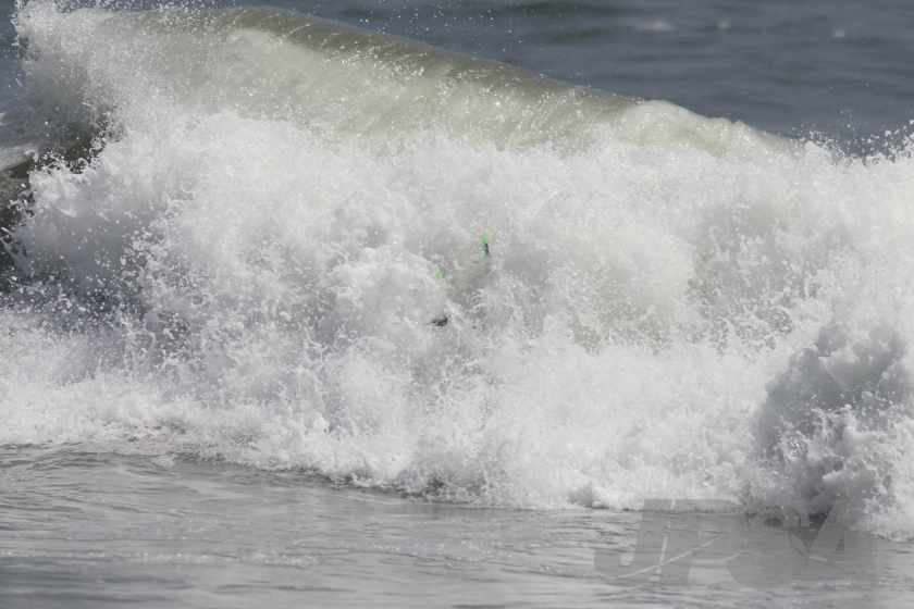 20140906111319_AB7I2605m.jpg