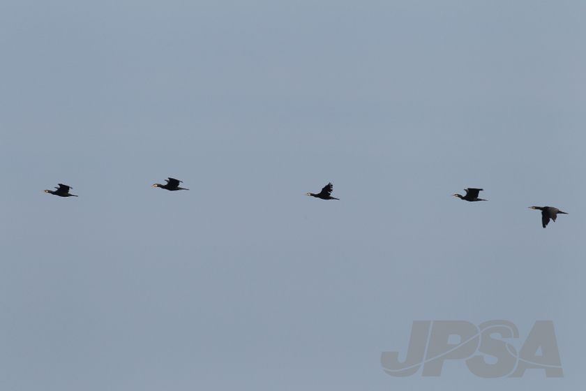 20140906141934_AB7I3693m.jpg