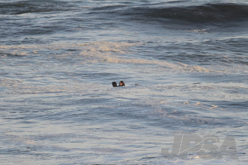 20140928165520_AB7I8557m.jpg