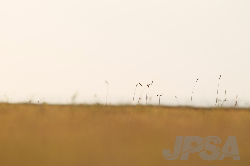 20141004062518_AB7I8934m.jpg