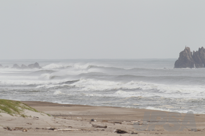20141004103743_AB7I9835m.jpg