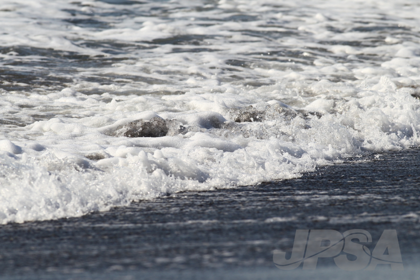 20141019083423_AB7I8079m.jpg