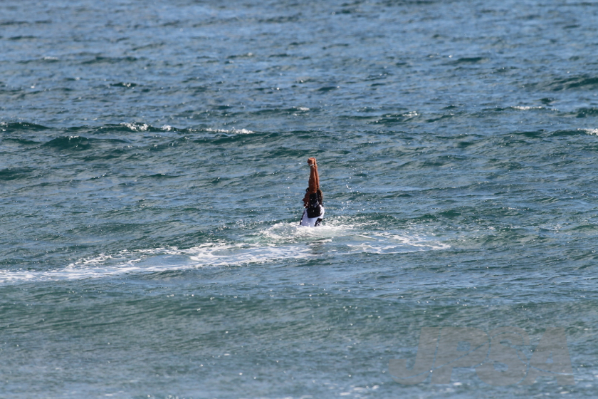 20141019114238_AB7I8846m.jpg
