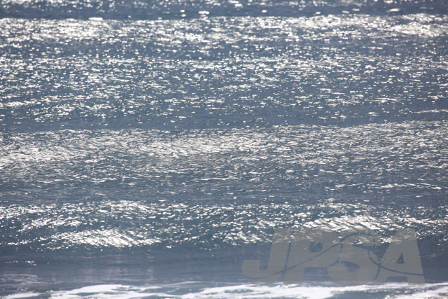 20141101091710_JK5D0209m.jpg