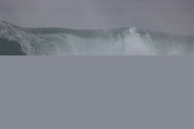 20150418081606_3Y7A0754m.jpg