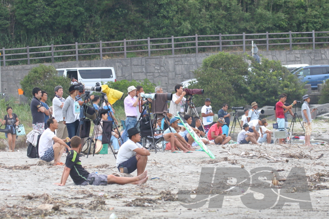 20160724082606_tahara_C2A2741m.jpg