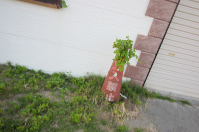 20170623171054_AB7I7655m.jpg