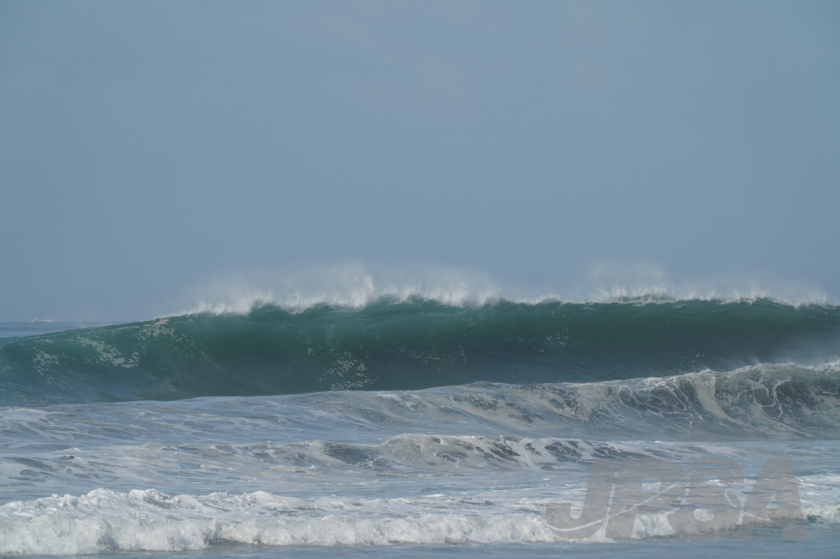 20190420100159_ABF03515_a73m.jpg