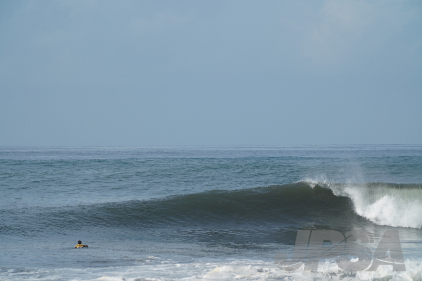20190420100624_ABF03582_a73m.jpg