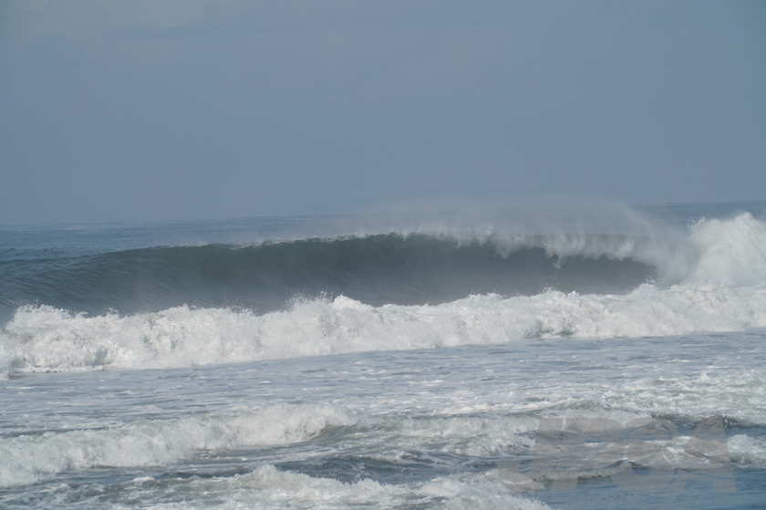 20190420101400_ABF03645_a73m.jpg