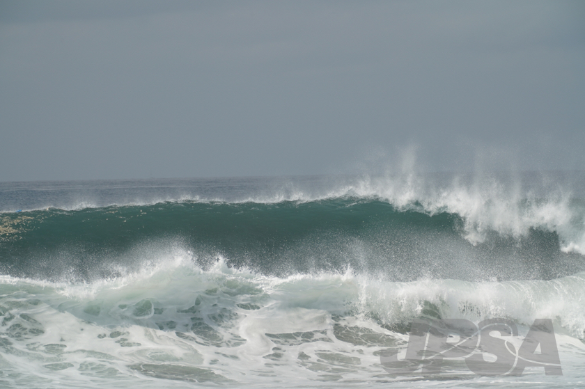 20190420105309_ABF03983_a73m.jpg
