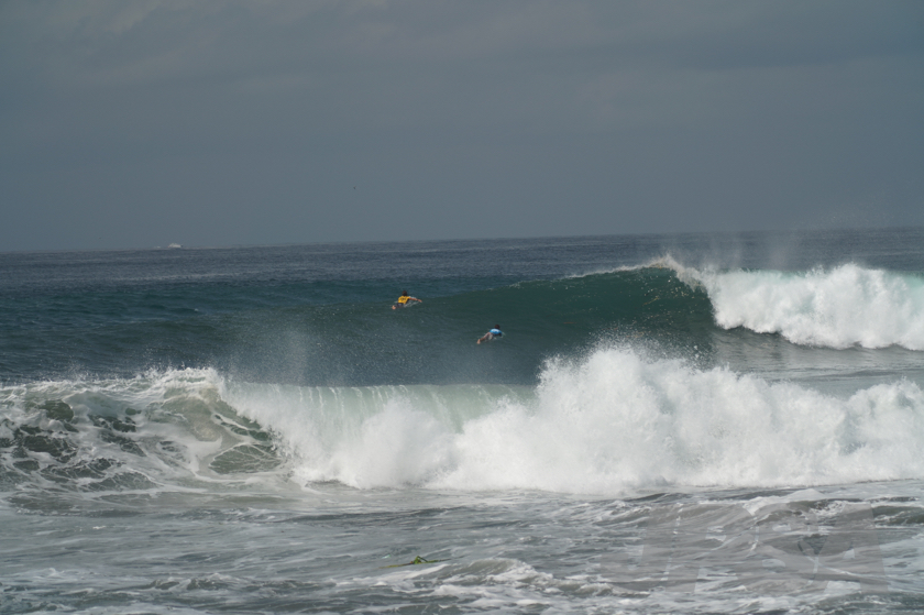 20190420105312_ABF03985_a73m.jpg