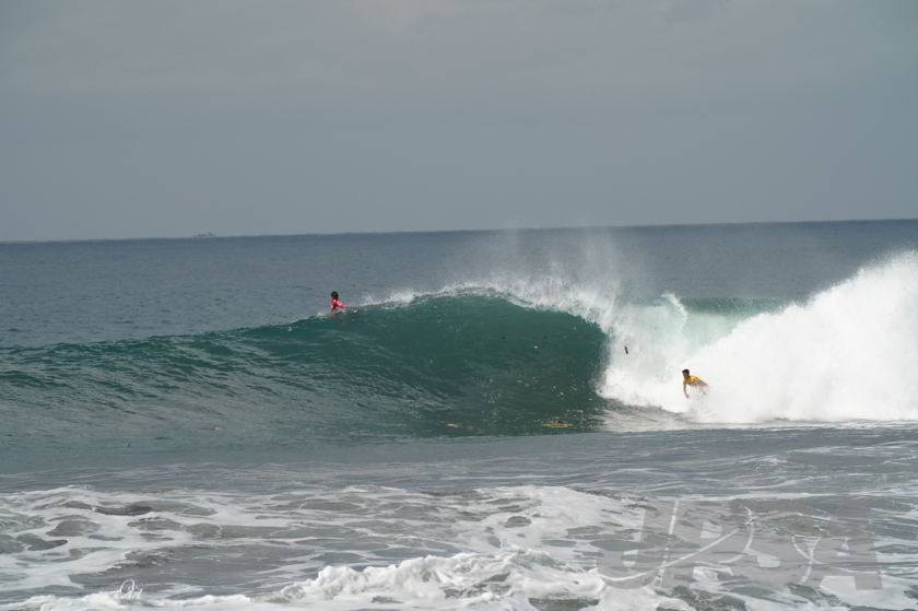 20190420110634_ABF04029_a73m.jpg