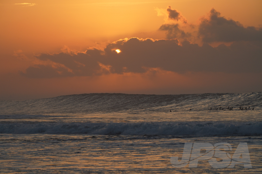 20190422062509_ABF07999_a73m.jpg