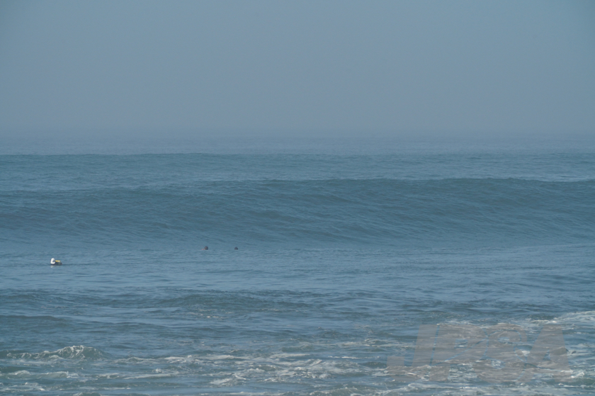 20190422080311_ABF08449_a73m.jpg