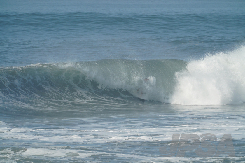 20190422081633_ABF08603_a73m.jpg