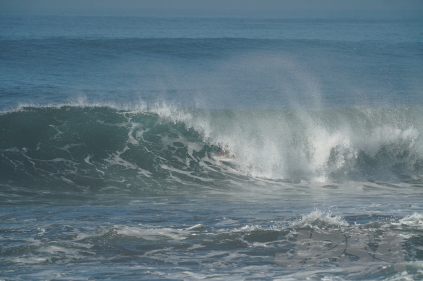 20190422082707_ABF08709_a73m.jpg