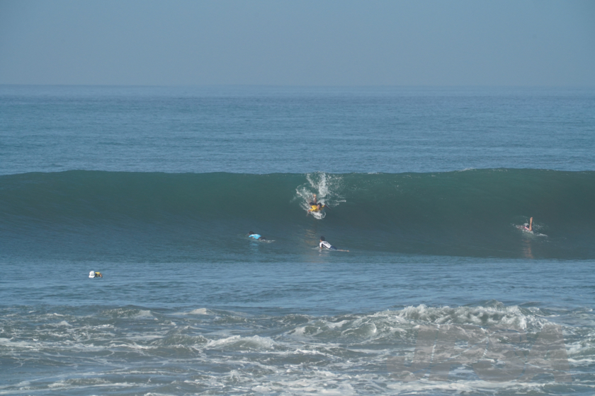 20190422083459_ABF08800_a73m.jpg