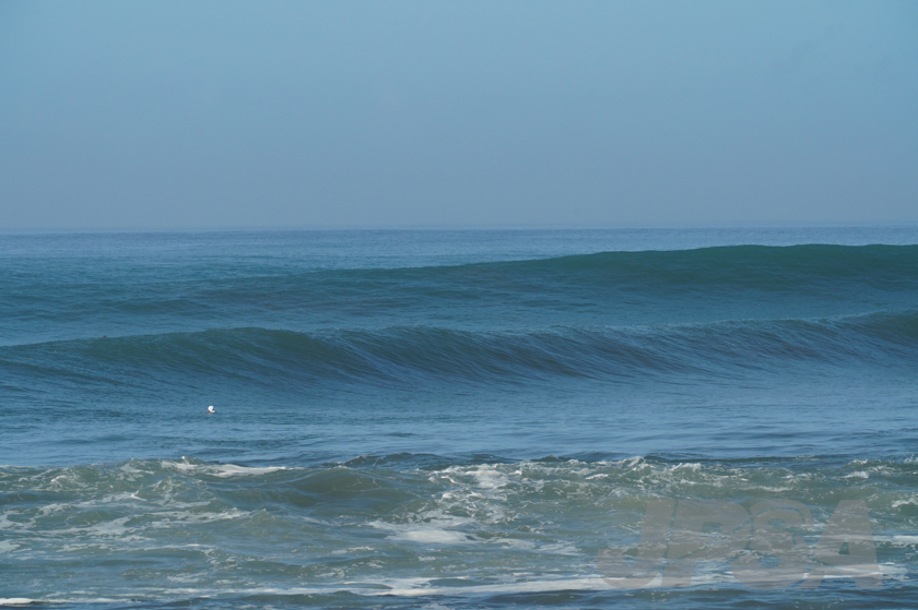 20190422083817_ABF08857_a73m.jpg