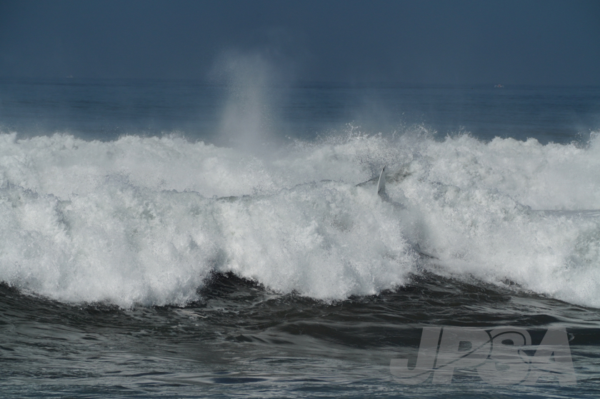 20190422094445_ABF09857_a73m.jpg