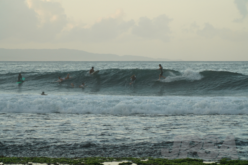 20190423063900_ABF01747_a73m.jpg