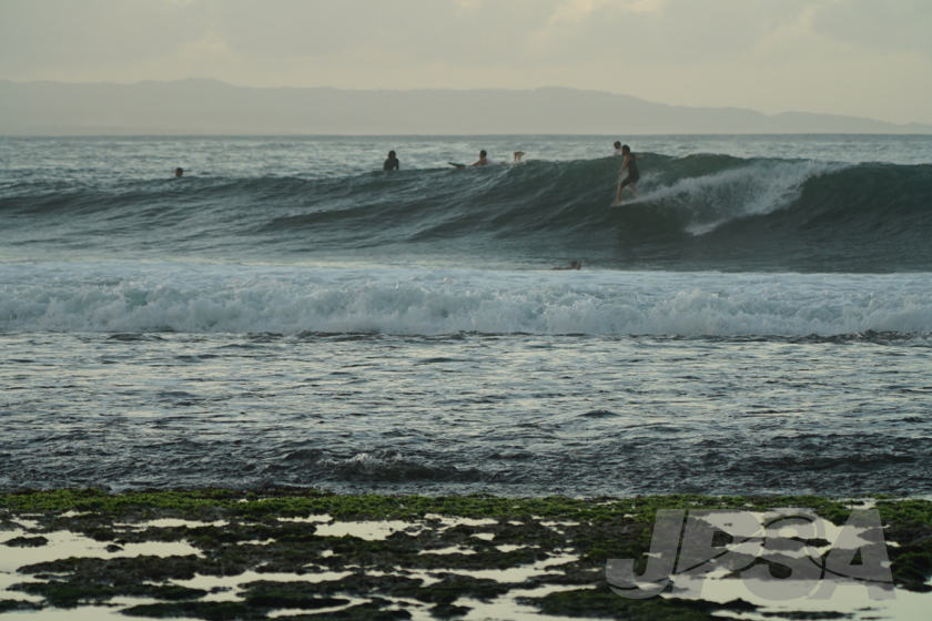 20190423063902_ABF01750_a73m.jpg