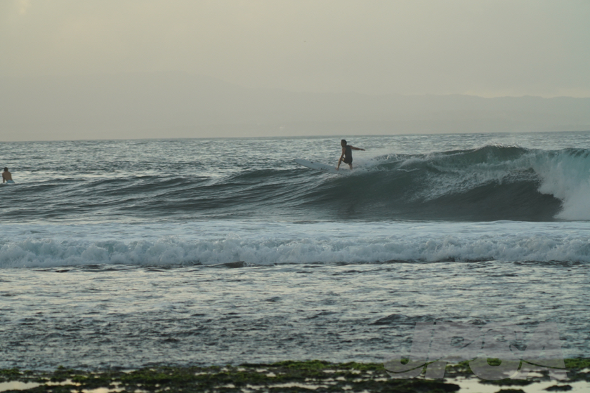 20190423063905_ABF01756_a73m.jpg