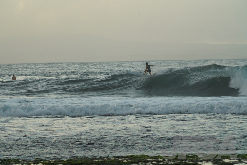 20190423063905_ABF01757_a73m.jpg
