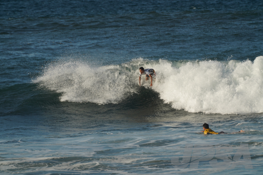 20190423073947_ABF01986_a73m.jpg