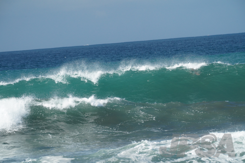 20190423093218_ABF02578_a73m.jpg