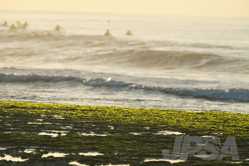 20190424064054_ABF04155_a73m.jpg