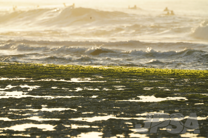 20190424064056_ABF04156_a73m.jpg