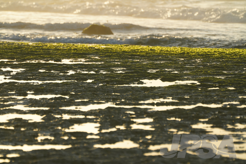 20190424064100_ABF04158_a73m.jpg