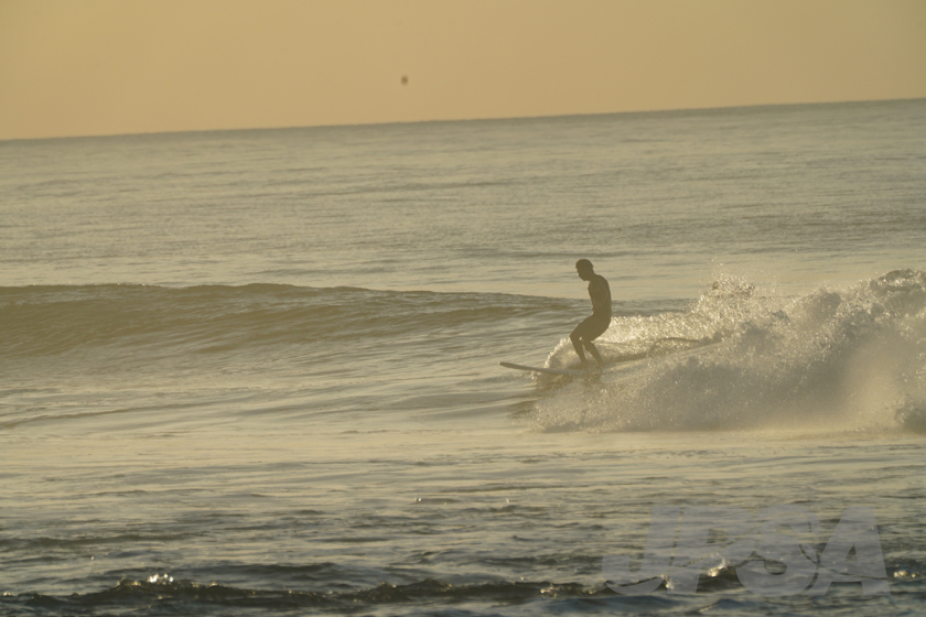 20190424064910_ABF04352_a73m.jpg