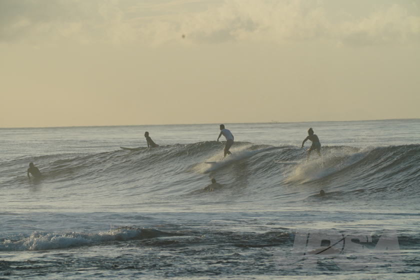 20190424064952_ABF04374_a73m.jpg