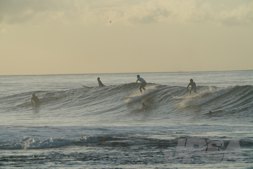20190424064952_ABF04375_a73m.jpg