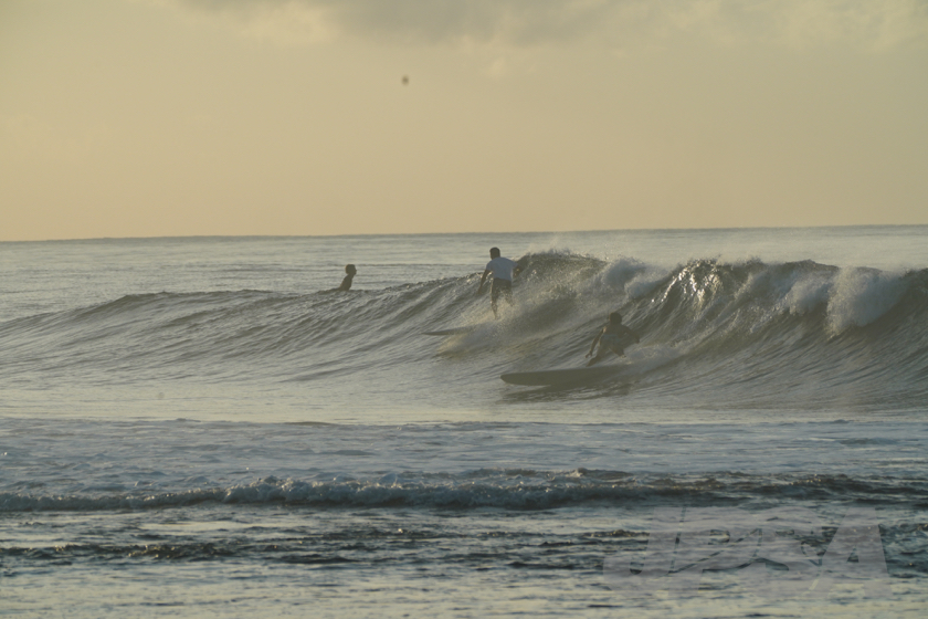 20190424064954_ABF04378_a73m.jpg