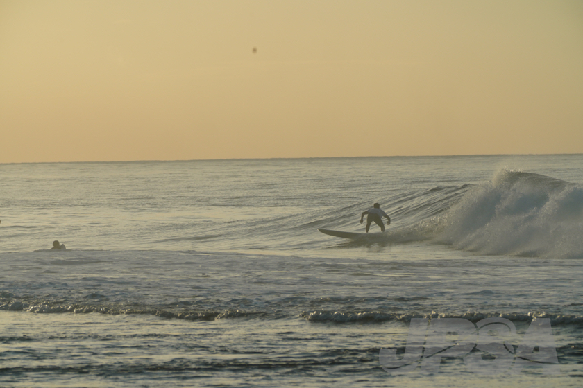 20190424064956_ABF04384_a73m.jpg