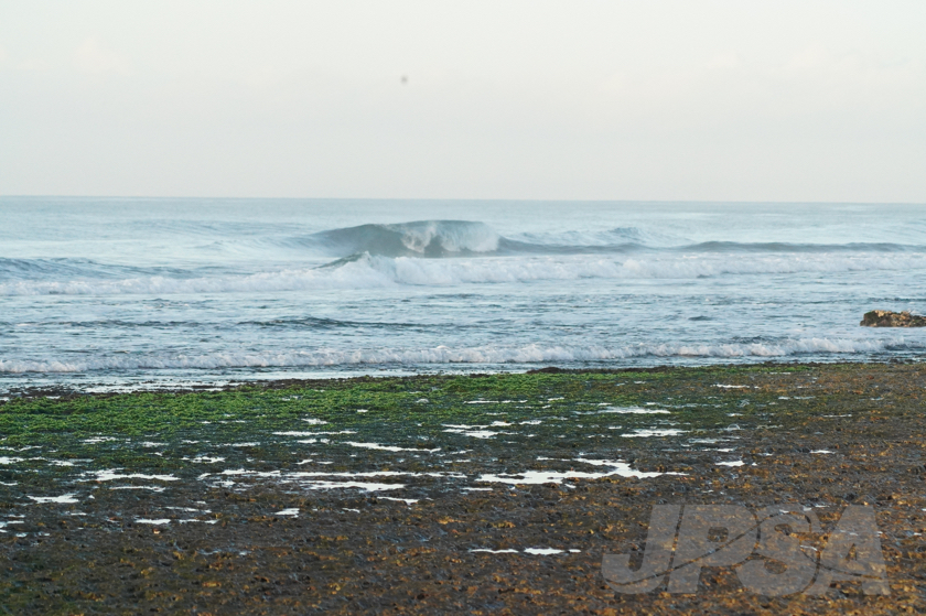 20190424065039_ABF04387_a73m.jpg