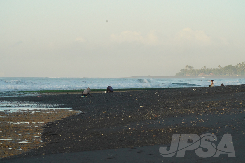20190424065051_ABF04393_a73m.jpg