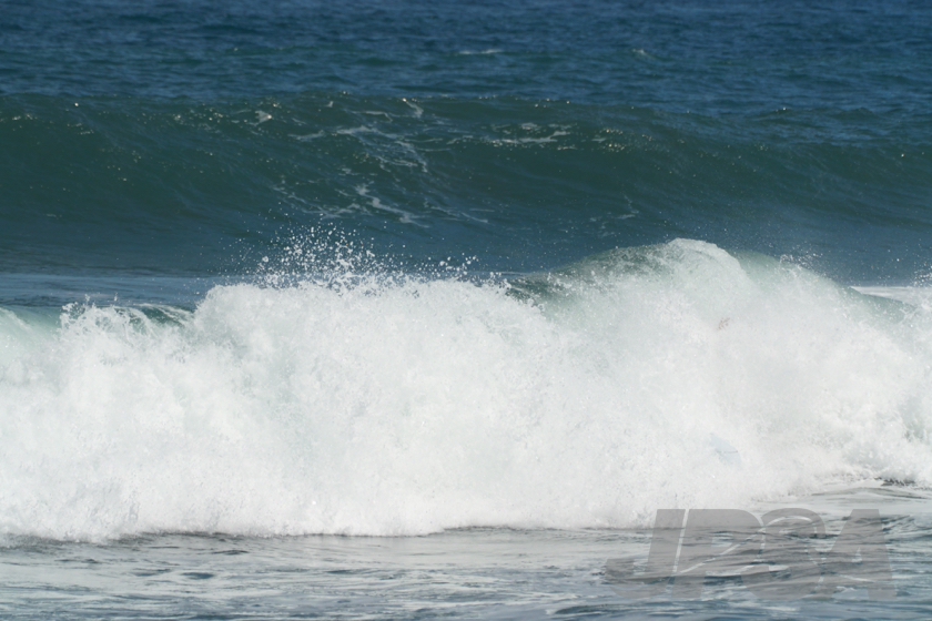 20190425135318_ABF01924_a64m.jpg