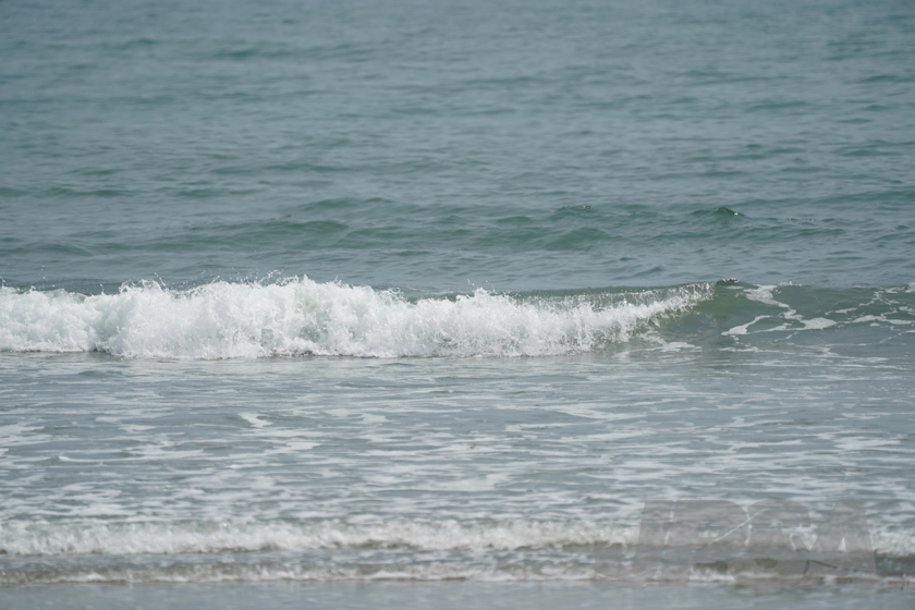 20190601111631_ABF03242_a64m.jpg