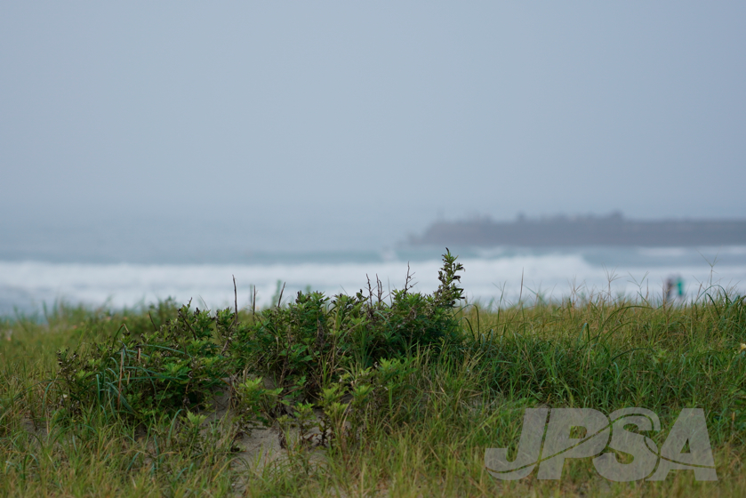 20190728063818__DSC6097m.jpg