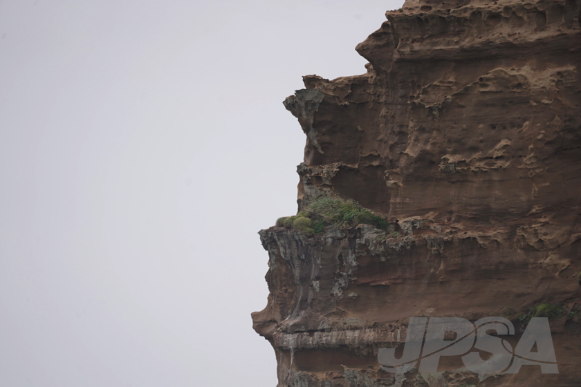 20190920122050__DSC5381m.jpg