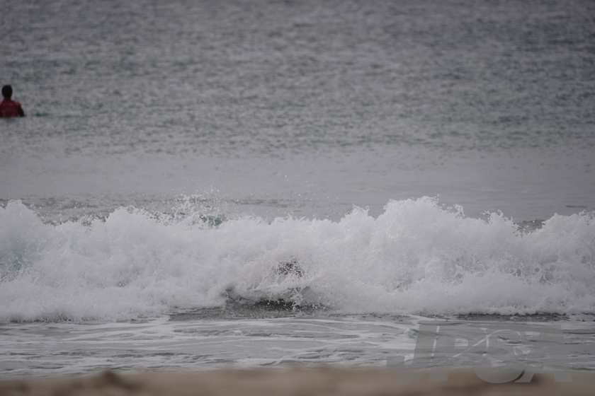 20190921160150__DSC0278m.jpg