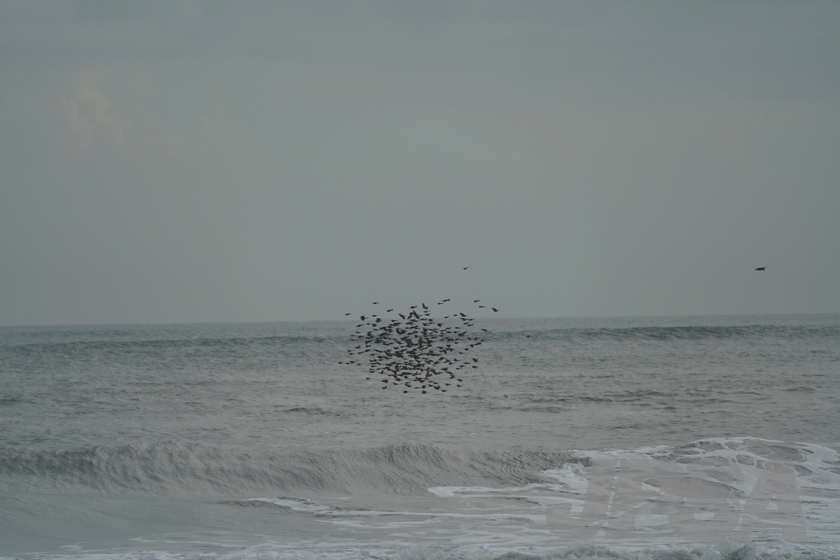 20191027082016_ABF08260m.jpg